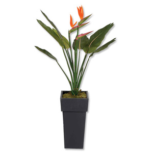 Stewart Superior Artificial Plant in Tall Metal Pot H1200mm Bird of Paradise Ref 9900209