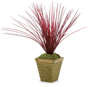 Stewart Superior Artificial Plant H500mm Onion Grass Ref LGR20RD