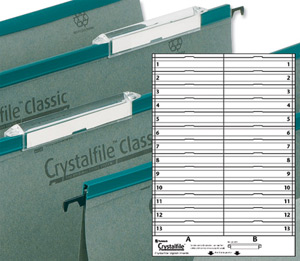 Rexel Crystalfile Classic Card Inserts for Linked File Extra-deep Tabs White Ref 78290 [Pack 50]