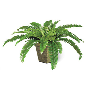 Stewart Superior Artificial Plant in Ceramic Pot H500mm Boston Fern Ref 9900176