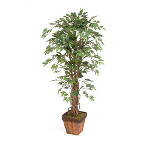 Stewart Superior Artificial Plant H1600mm Ficus Ref 9900129