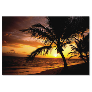 Fellowes Natural Collection Mouse Mat Pad Palm Moods Ref 58750